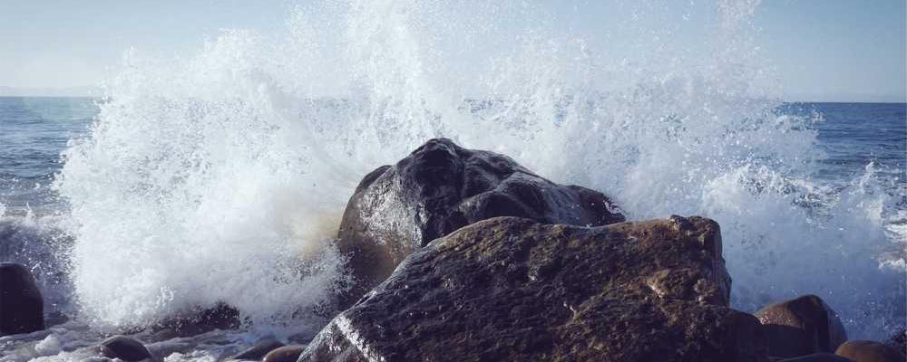 Bewaldete Landschaft mit Nebel, entspannende Naturatmosphäre – RentPilot