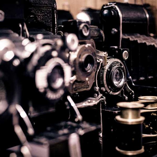 Bewaldete Landschaft mit Nebel für entspannende Atmosphäre – RentPilot