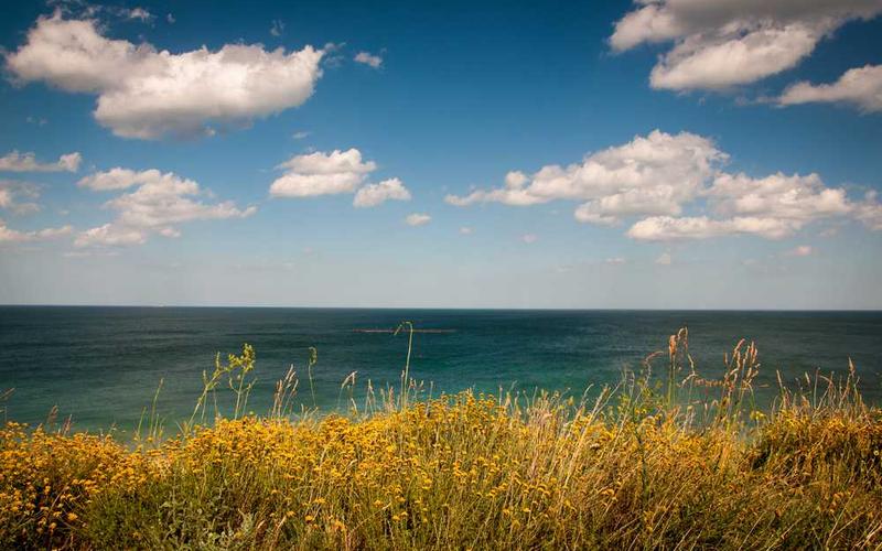 Grafische Darstellung zur Digitalisierung im Immobilienmanagement von RentPilot