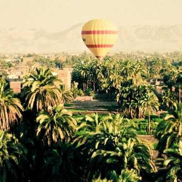 Heißluftballon schwebt über grüne Landschaft mit Palmen