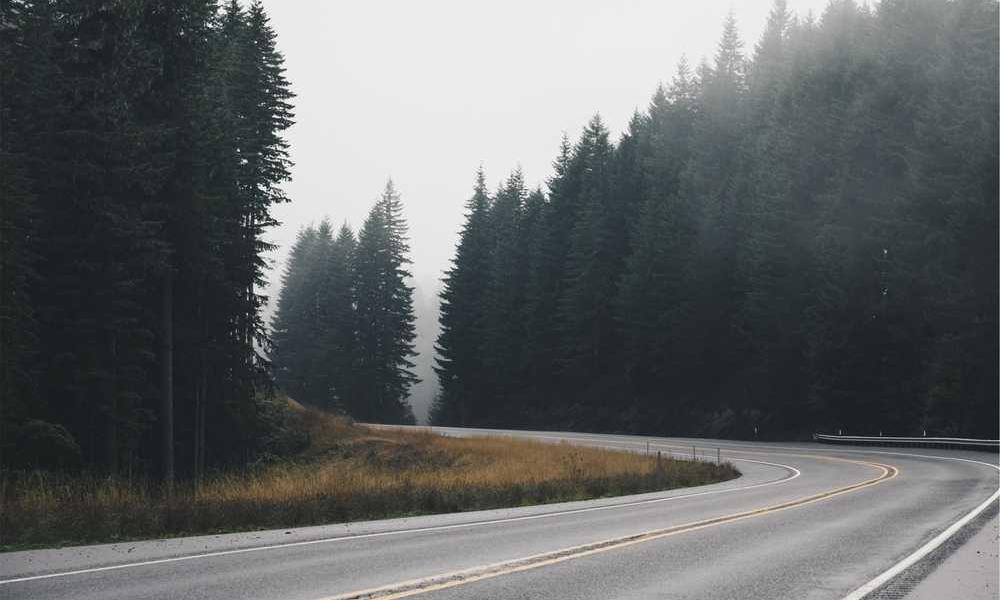 Kurvenreiche Straße umgeben von Bäumen und Nebel, ruhige Atmosphäre