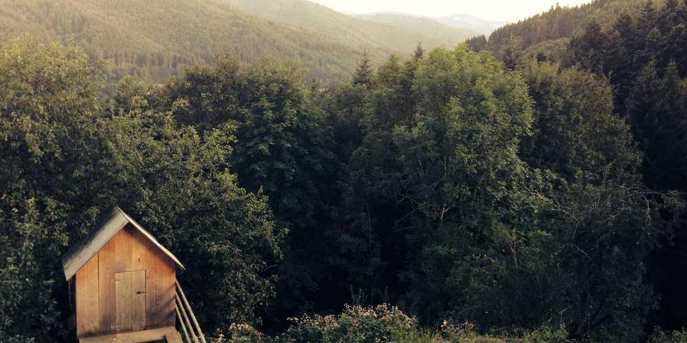 Ländliche Landschaft mit Holzhaus und Bäumen von RentPilot