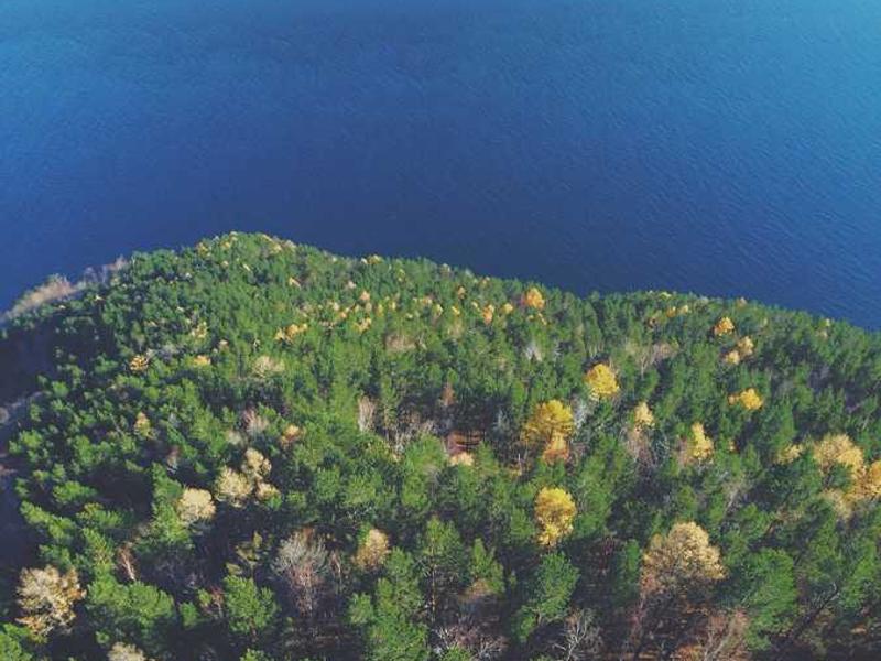 Landschaft mit Bäumen und Wasser, symbolisch für RentPilot Mietkaution-Strategien