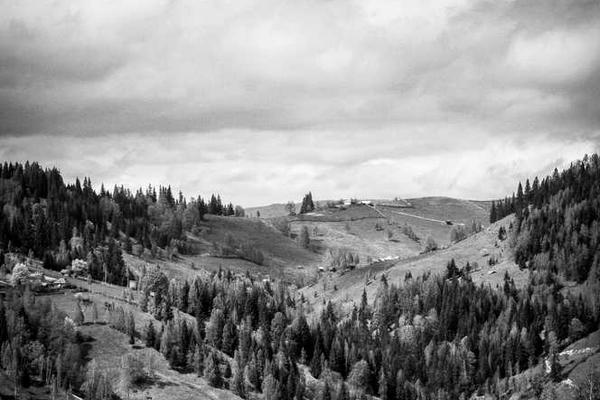 Landschaft mit sanften Hügeln und Wäldern, symbolisiert Nachhaltigkeit.