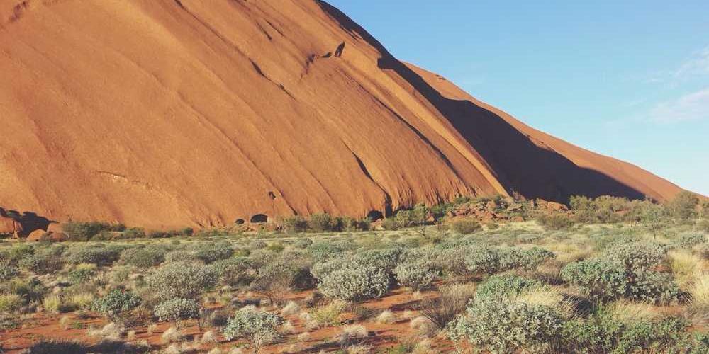 Landschaft mit rotem Felsen und grünen Pflanzen von RentPilot.