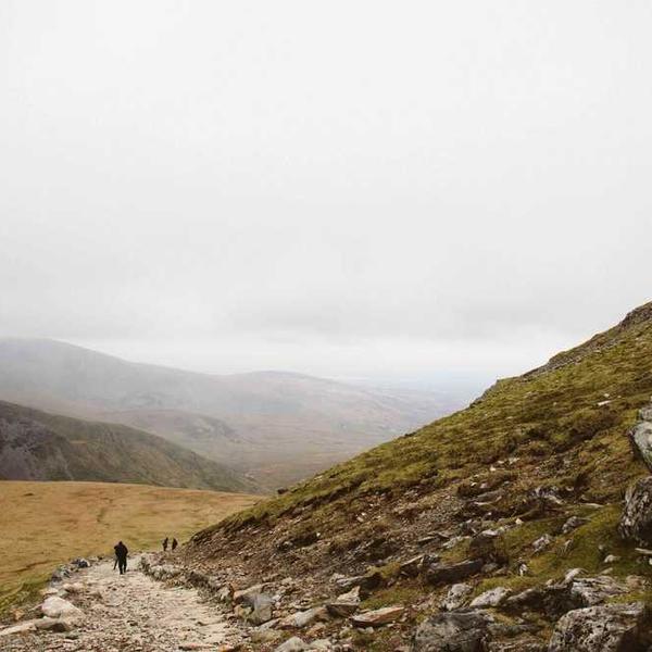 Natürliche Landschaft mit Wiesen und Bäumen von RentPilot, symbolisiert Nachhaltigkeit in der Immobilienverwaltung.