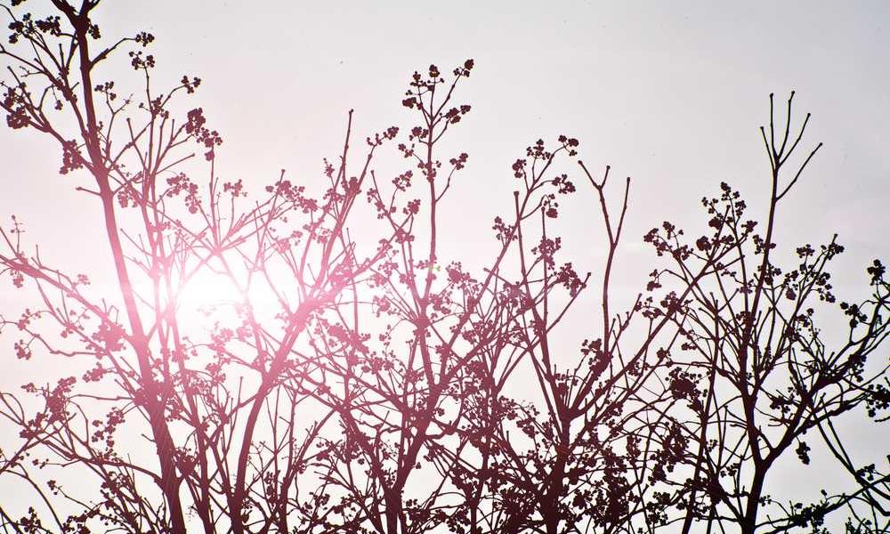 Natürliche Landschaft mit Felsen und ruhigem Meer – RentPilot