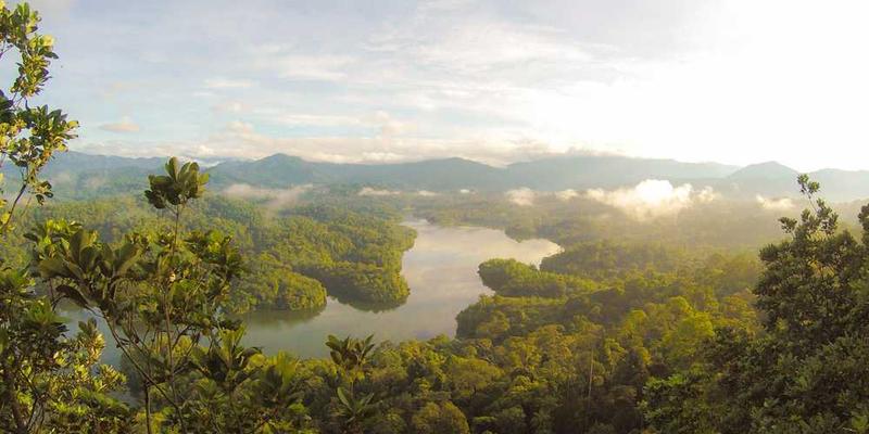 Natürliche Landschaft mit Wiesen und Bäumen von RentPilot zur Nachhaltigkeit im Property Management.