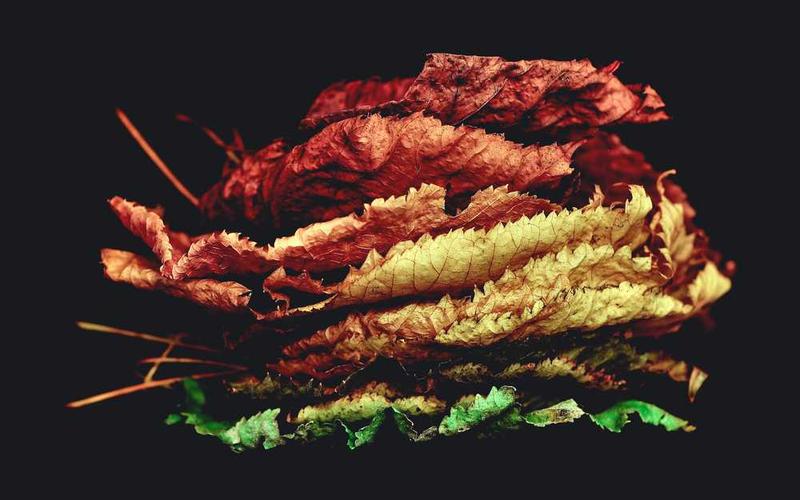 Natürliche Landschaft mit Felsen und ruhigem Meer – RentPilot