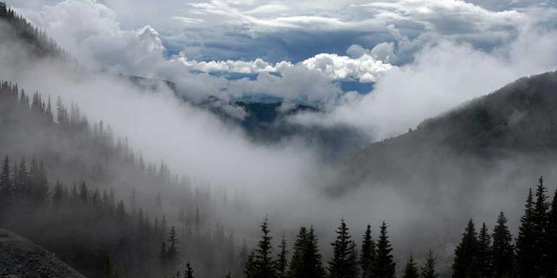 Nebelverhangene Berglandschaft mit Bäumen, RentPilot Blog über Effizienz im Property Management.