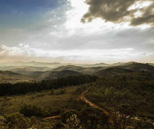 Nebelverhangene Berglandschaft mit Bäumen von RentPilot
