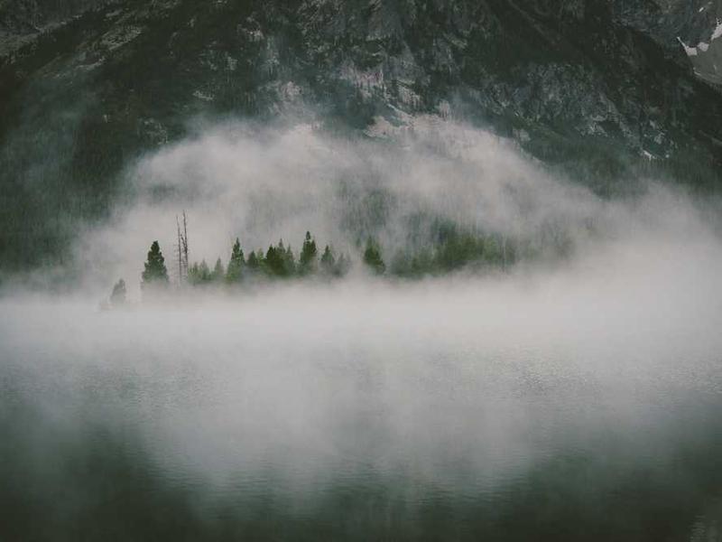 Nebelverhangene Landschaft mit Bäumen, symbolisch für Immobilienfinanzierung von RentPilot