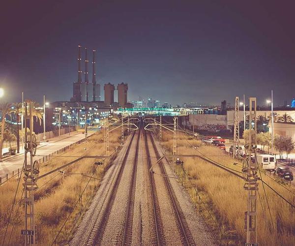 Nebelige Landschaft mit hohem Gras und Bäumen, RentPilot Ratgeber zu Mietverträgen