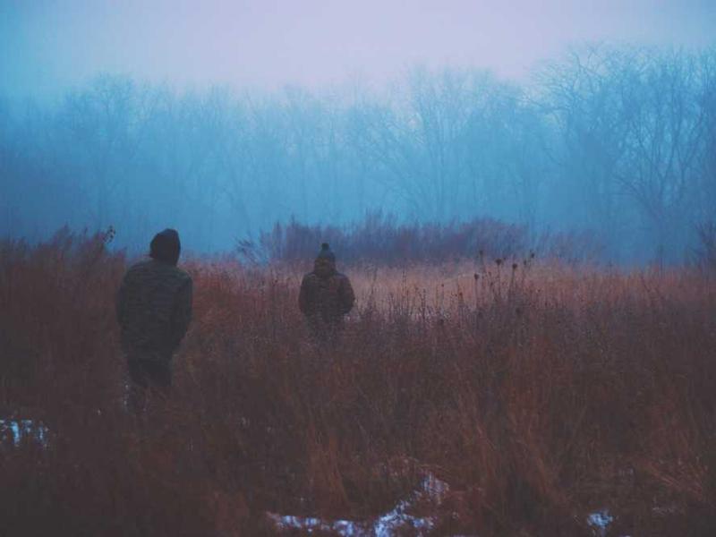 Zwei Personen in nebliger Landschaft mit hohem Gras und Bäumen.