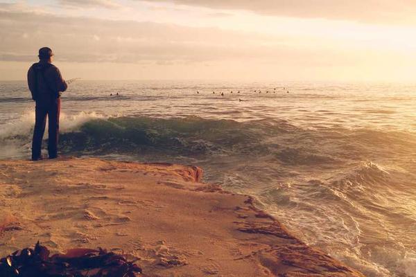 Person angelt am Gewässerufer in ruhiger Natur – RentPilot