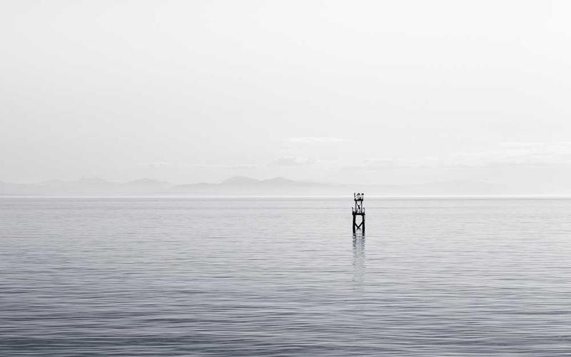 Reflexion von Bäumen auf Wasseroberfläche, harmonische Dekoration für Blogbeitrag von RentPilot