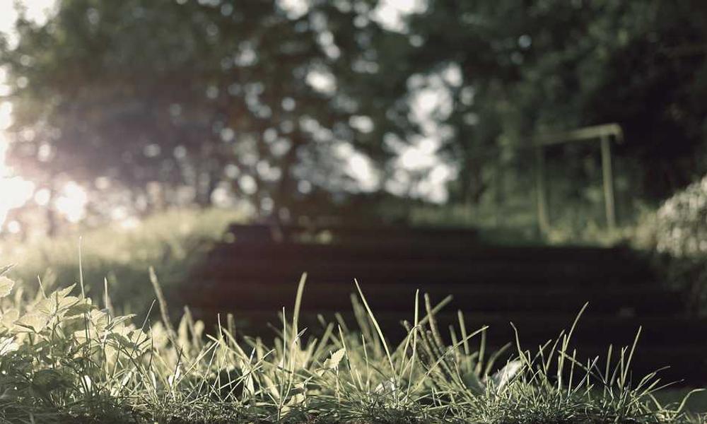 Unscharfe grüne Landschaft mit Gras, beruhigende natürliche Atmosphäre, RentPilot