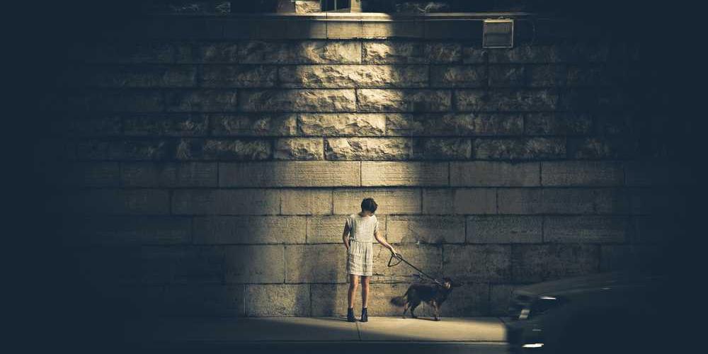 Person mit Hund in urbaner Szenerie – RentPilot Blog über Immobilieninvestment