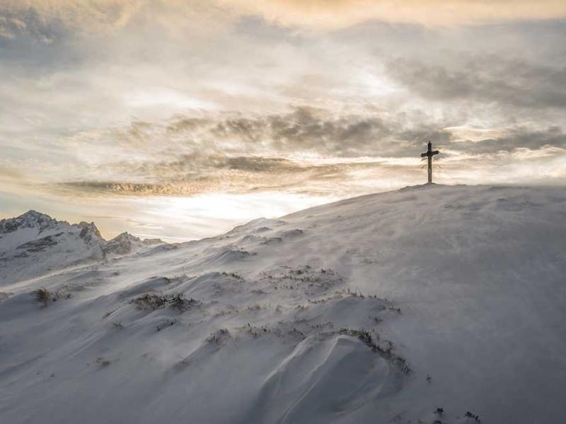 Sonnige Landschaft mit Bäumen und Gebäude für RentPilot Immobilienmanagement