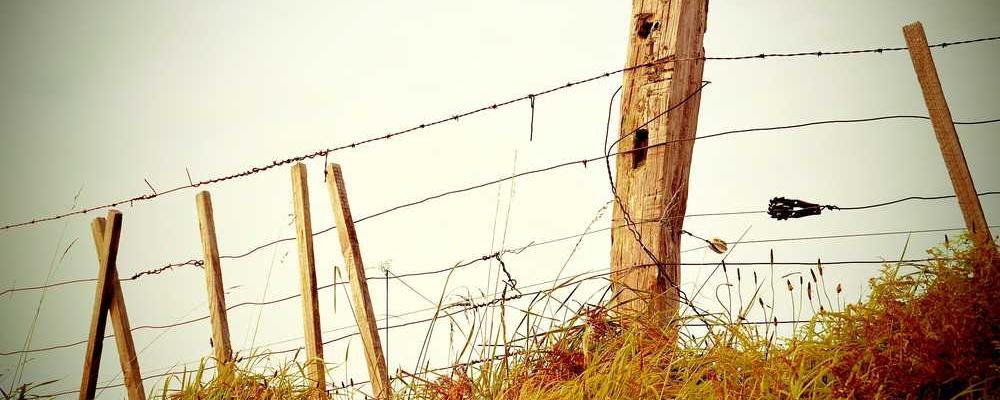 Ein Zaun in ländlicher Umgebung symbolisiert Grenzen und nachhaltige Immobilienentwicklung. RentPilot.