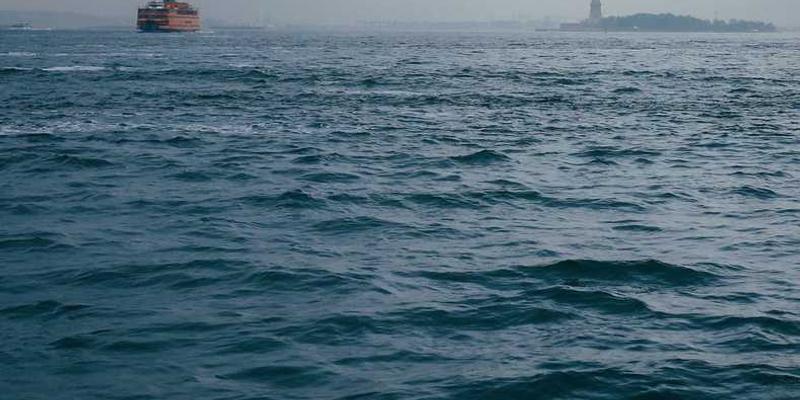 Natürliche Landschaft mit Wiesen und Bäumen für Nachhaltigkeit im Property Management bei RentPilot