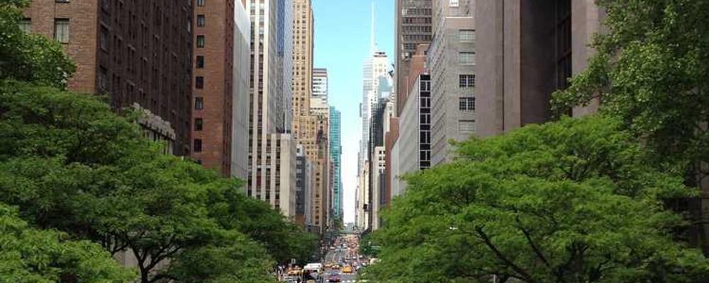 Städtische Landschaft mit hohen Gebäuden und Bäume für RentPilot.