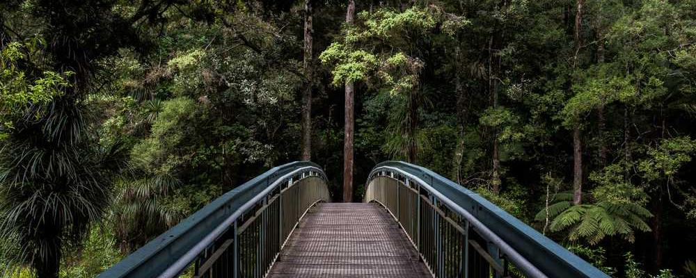 Brücke in bewaldeter Umgebung, symbolisiert Zukunft des Immobilienmanagements – RentPilot