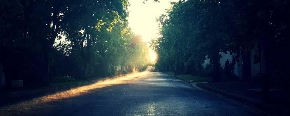 Ruhige Landschaft mit Holzsteg und klarem See - RentPilot