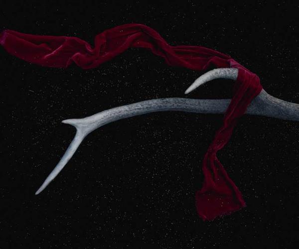 Stilisiertes Geweih mit rotem Tuch auf dunklem Hintergrund – RentPilot Blog