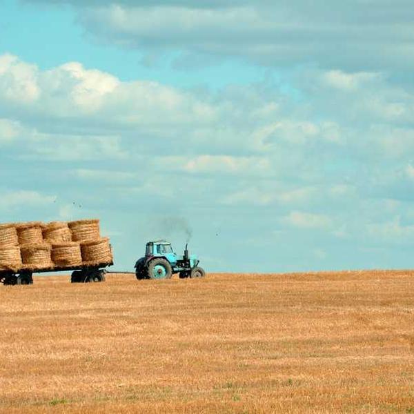 Traktor mit Heuballen auf einem ländlichen Feld unter blauem Himmel.