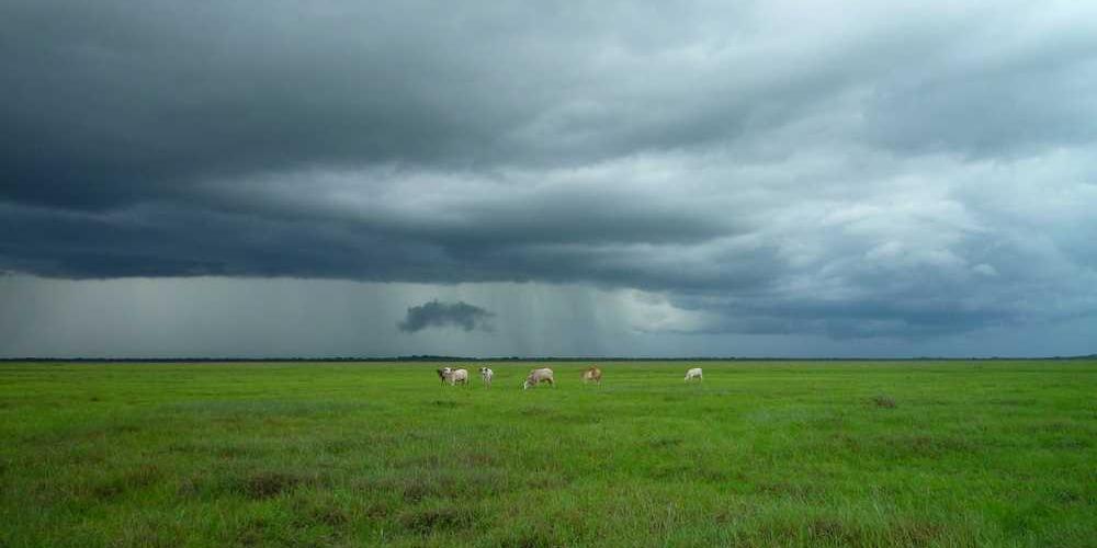 Bewölkte Landschaft mit Weide, symbolisch für Mietrecht und Immobilienverwaltung – RentPilot