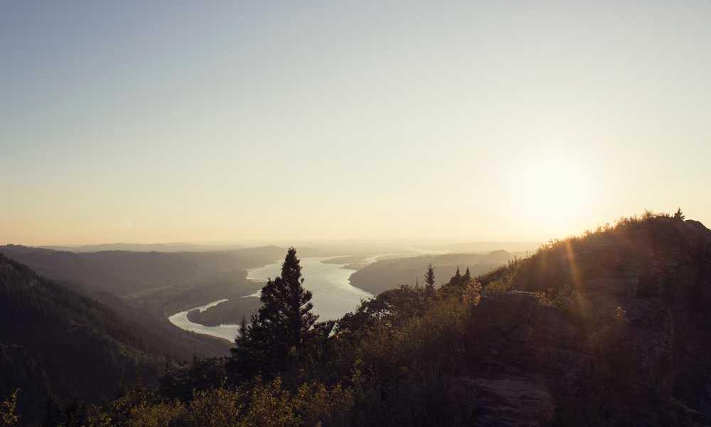 Unterwasseraufnahme mit Fischen im blauen Wasser - RentPilot