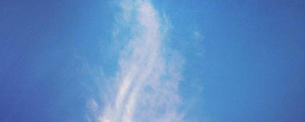 Vögel fliegen am Himmel, symbolisieren Freiheit - RentPilot