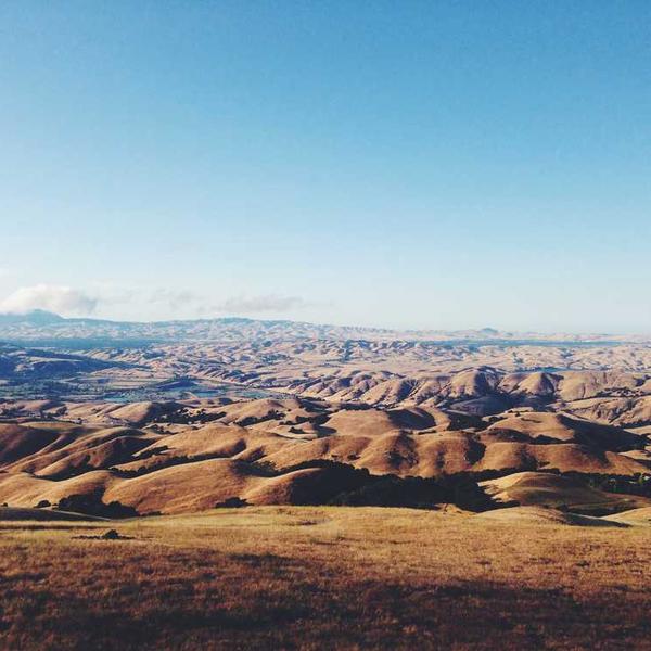 Weite Landschaft mit sanften Hügeln, RentPilot Immobilienberatung