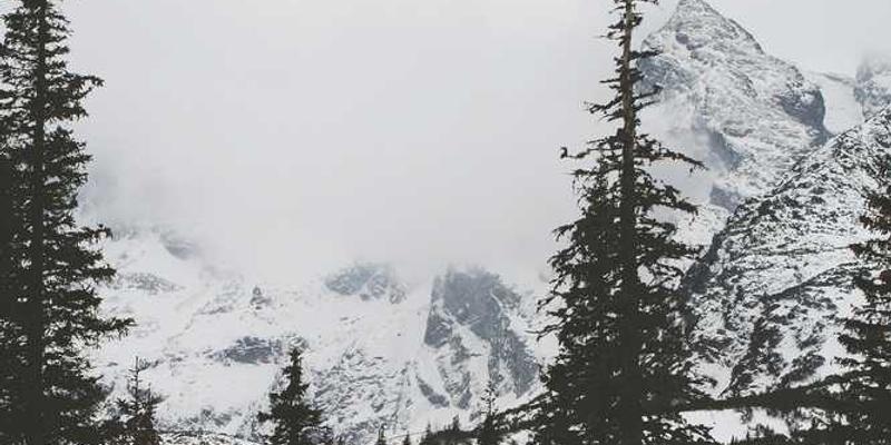 Winterliche Berglandschaft mit Nadelbäumen von RentPilot