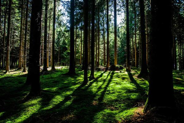 Erfolgreich mit Nebenkostenabrechnung – Teil 85
