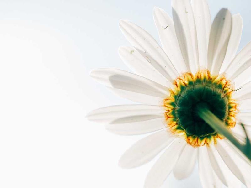Tipps für Mieterservice – Teil 231